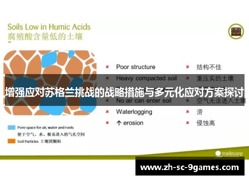 增强应对苏格兰挑战的战略措施与多元化应对方案探讨